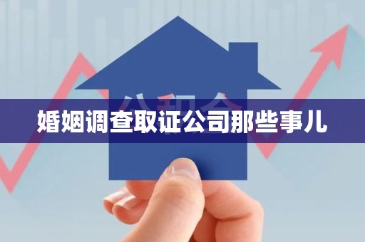 晋安婚姻调查取证公司那些事儿