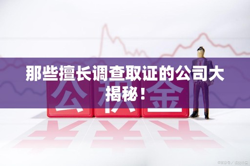 晋安那些擅长调查取证的公司大揭秘！