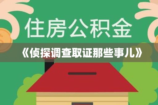 晋安《侦探调查取证那些事儿》