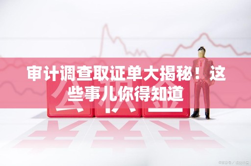 晋安审计调查取证单大揭秘！这些事儿你得知道