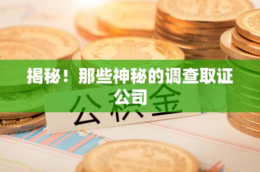 晋安揭秘！那些神秘的调查取证公司