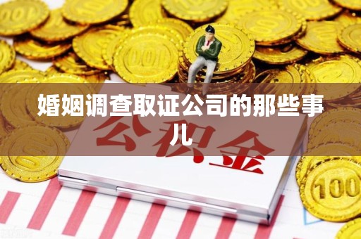 晋安婚姻调查取证公司的那些事儿