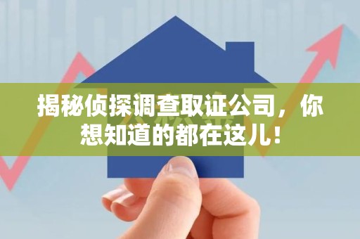 晋安揭秘侦探调查取证公司，你想知道的都在这儿！