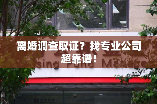 晋安离婚调查取证？找专业公司超靠谱！