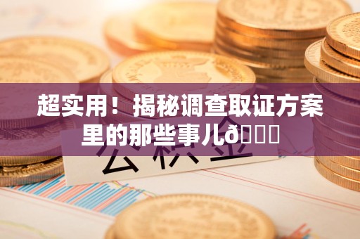 晋安超实用！揭秘调查取证方案里的那些事儿😎