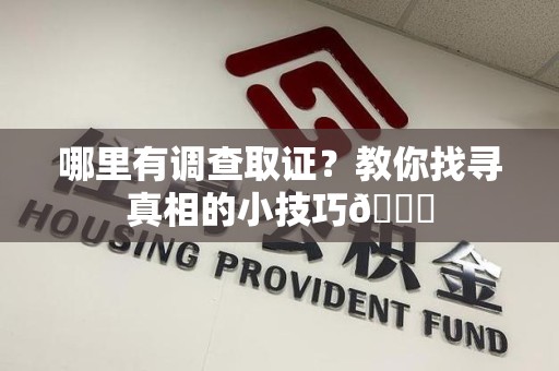 晋安哪里有调查取证？教你找寻真相的小技巧😎