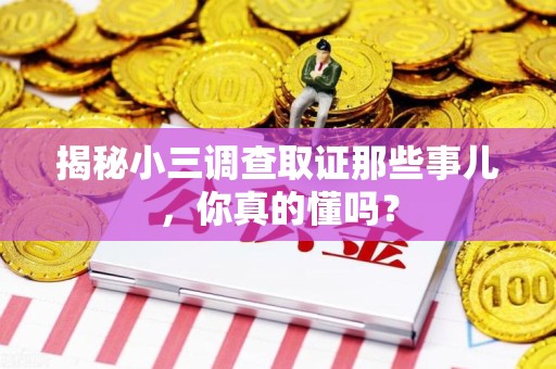 晋安揭秘小三调查取证那些事儿，你真的懂吗？