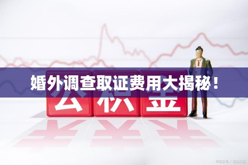 晋安婚外调查取证费用大揭秘！