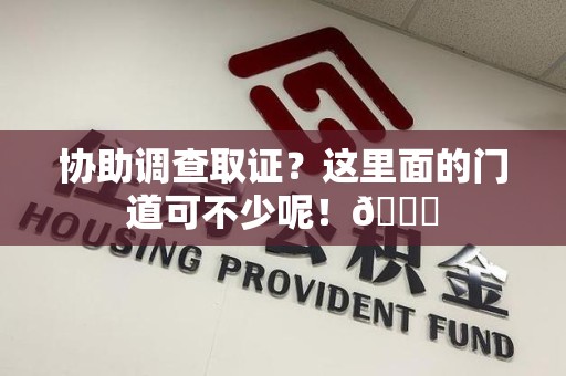 晋安协助调查取证？这里面的门道可不少呢！😎