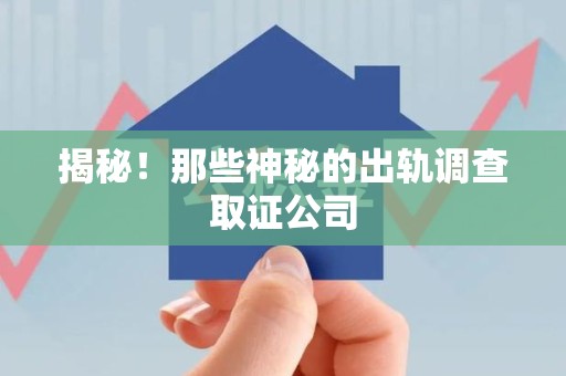 晋安揭秘！那些神秘的出轨调查取证公司