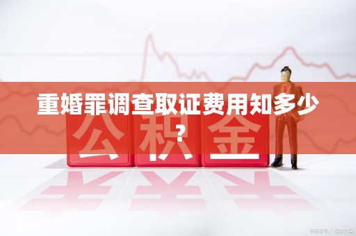 晋安重婚罪调查取证费用知多少？