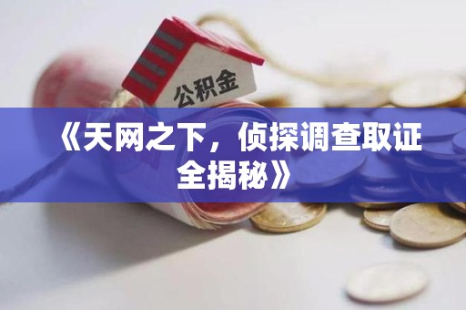 晋安《天网之下，侦探调查取证全揭秘》