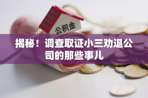 晋安揭秘！调查取证小三劝退公司的那些事儿