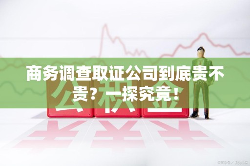 晋安商务调查取证公司到底贵不贵？一探究竟！