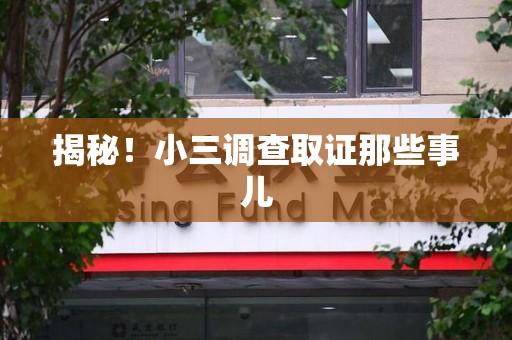 晋安揭秘！小三调查取证那些事儿