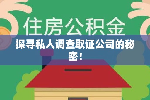 晋安探寻私人调查取证公司的秘密！