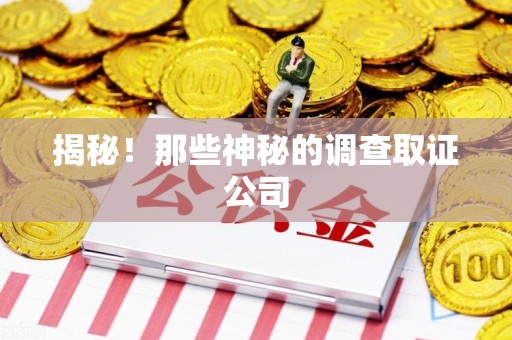 晋安揭秘！那些神秘的调查取证公司