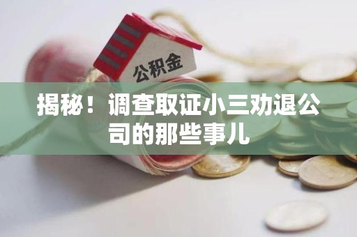 晋安揭秘！调查取证小三劝退公司的那些事儿