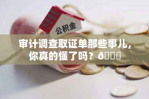 晋安审计调查取证单那些事儿，你真的懂了吗？😎