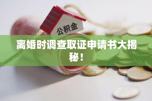 晋安离婚时调查取证申请书大揭秘！